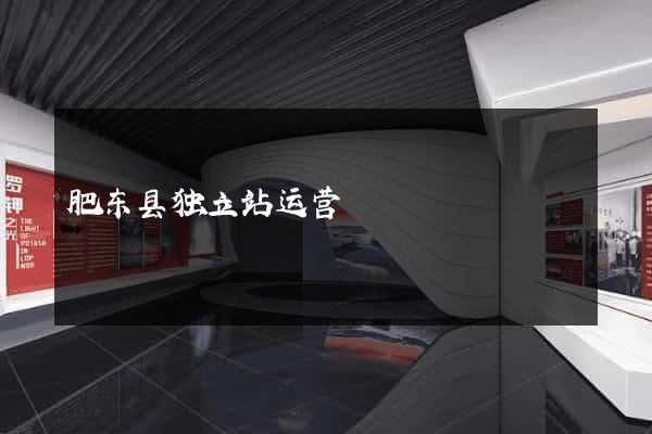 肥东县独立站运营