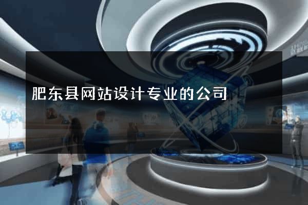 肥东县网站设计专业的公司