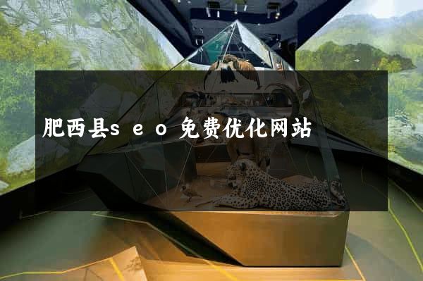 肥西县seo免费优化网站