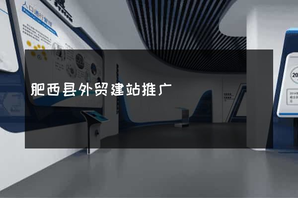肥西县外贸建站推广