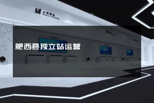 肥西县独立站运营