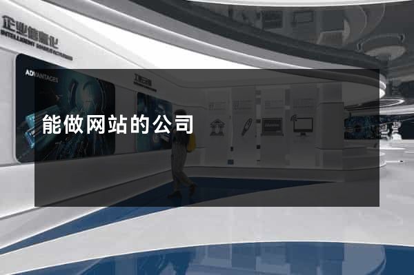 能做网站的公司