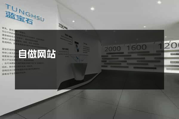 自做网站
