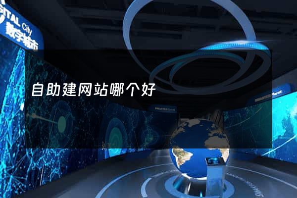 自助建网站哪个好