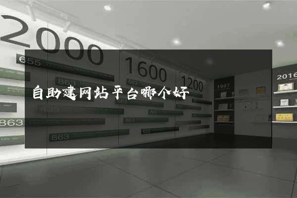 自助建网站平台哪个好