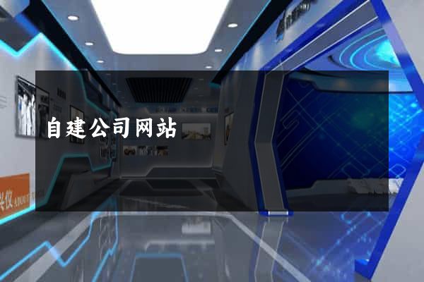 自建公司网站