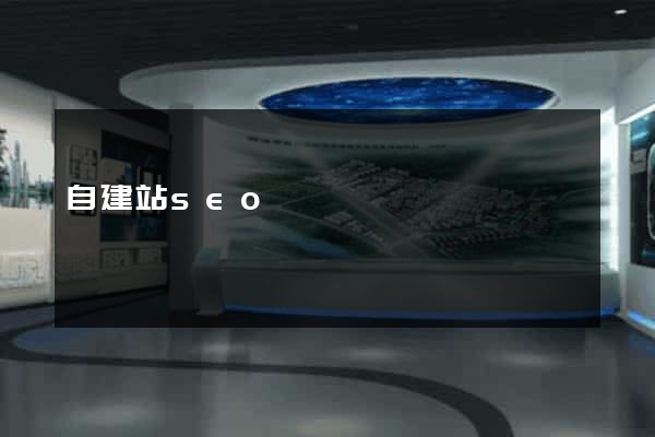 自建站seo
