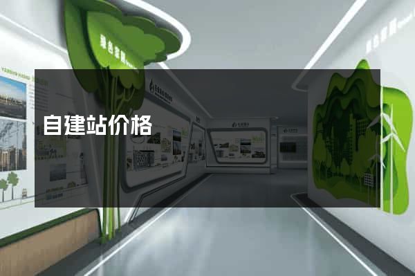 自建站价格