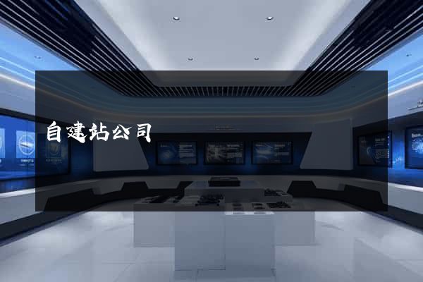 自建站公司