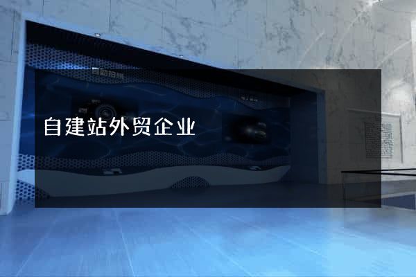 自建站外贸企业
