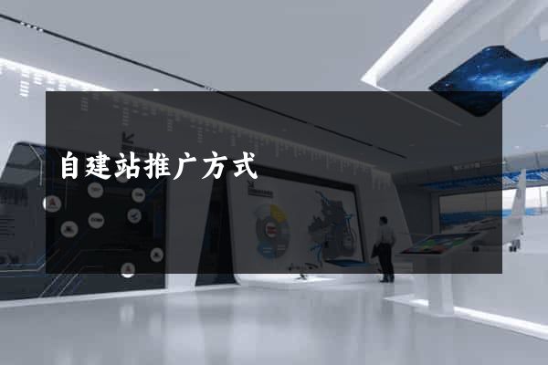 自建站推广方式