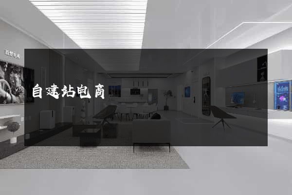 自建站电商