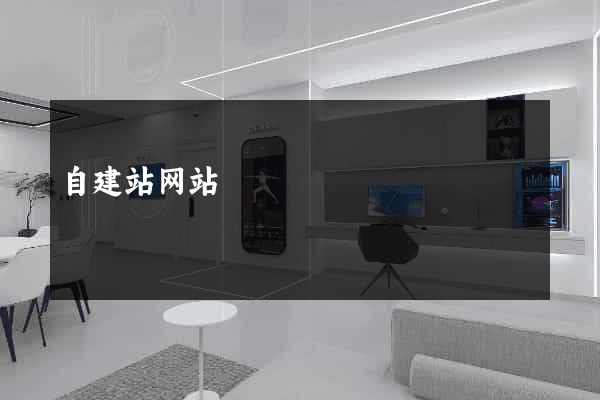 自建站网站