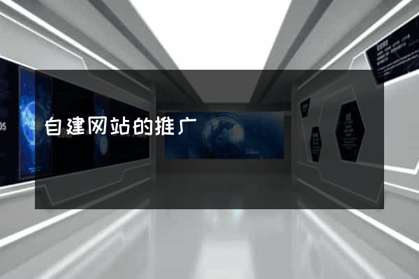 自建网站的推广