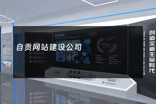 自贡网站建设公司