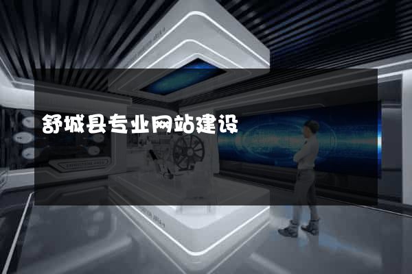 舒城县专业网站建设