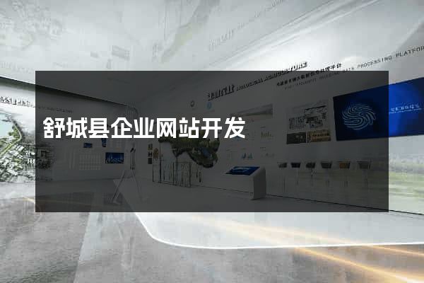舒城县企业网站开发
