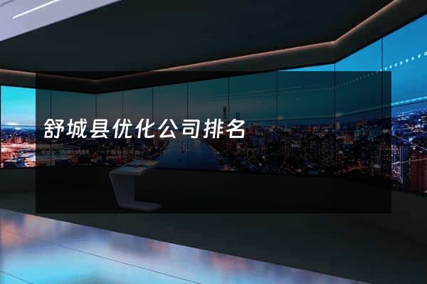 舒城县优化公司排名
