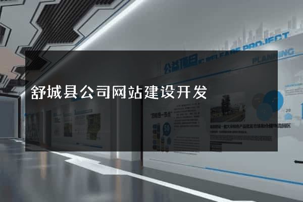 舒城县公司网站建设开发