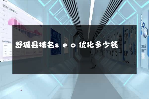 舒城县排名seo优化多少钱