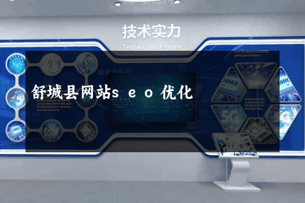 舒城县网站seo优化