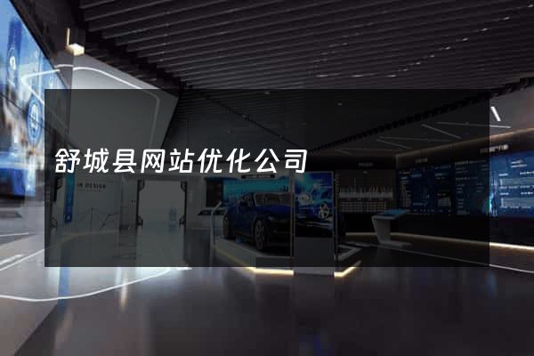 舒城县网站优化公司
