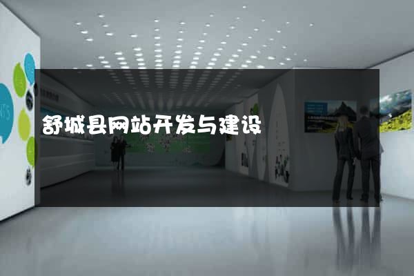 舒城县网站开发与建设