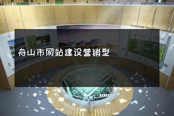 舟山市网站建设营销型