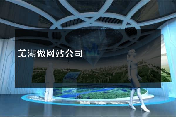 芜湖做网站公司