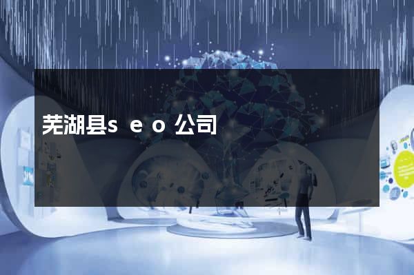 芜湖县seo公司