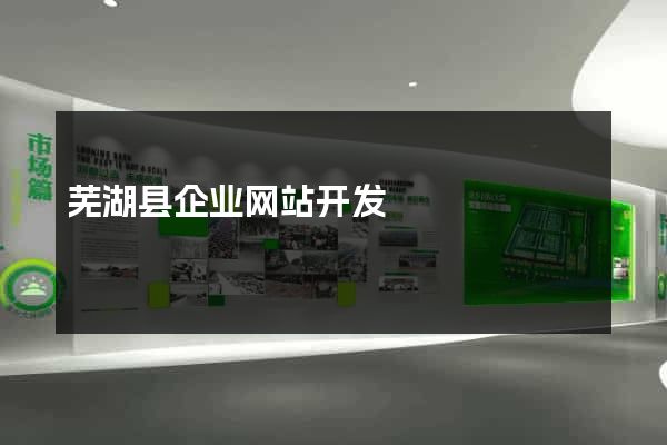 芜湖县企业网站开发
