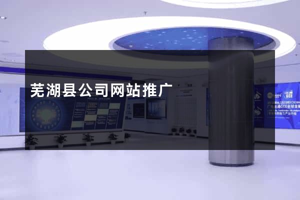 芜湖县公司网站推广