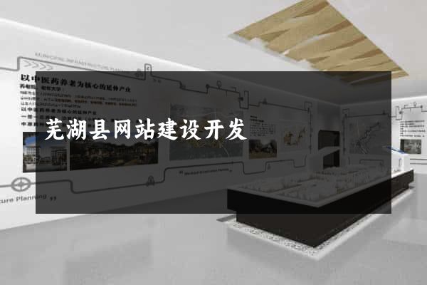 芜湖县网站建设开发