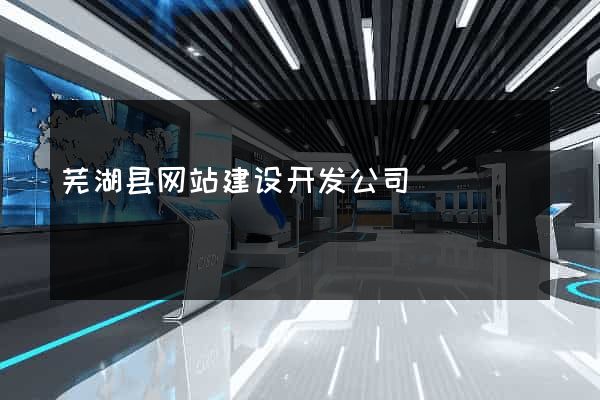 芜湖县网站建设开发公司