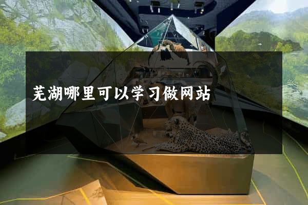 芜湖哪里可以学习做网站