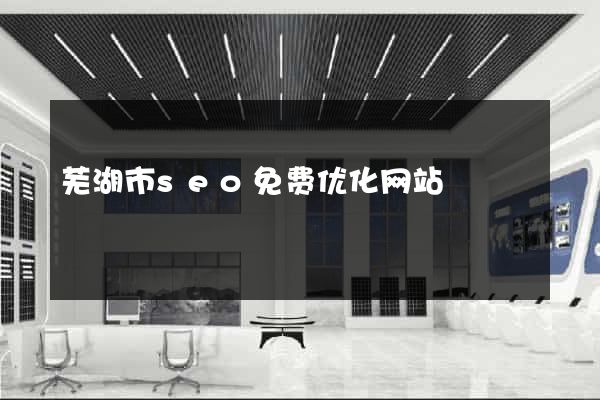 芜湖市seo免费优化网站