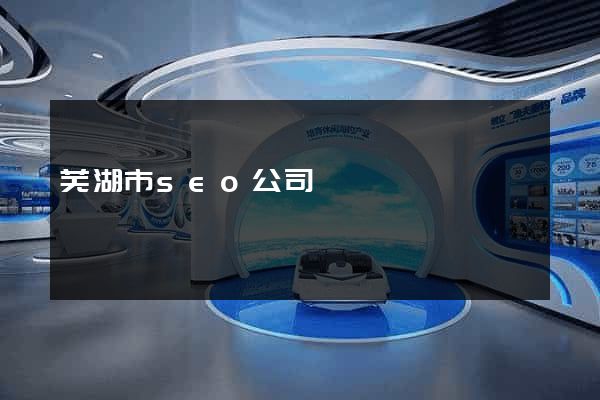 芜湖市seo公司