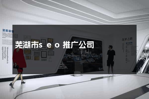 芜湖市seo推广公司