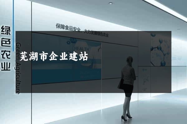 芜湖市企业建站