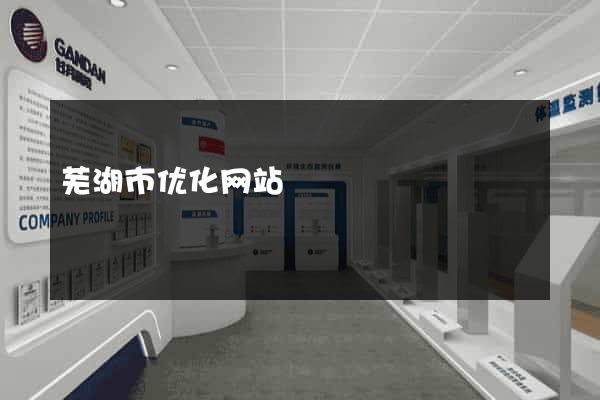 芜湖市优化网站