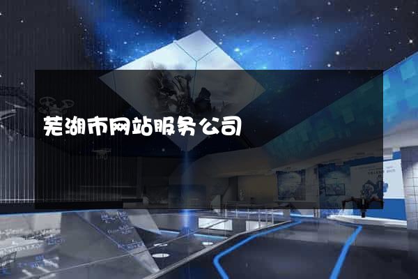 芜湖市网站服务公司