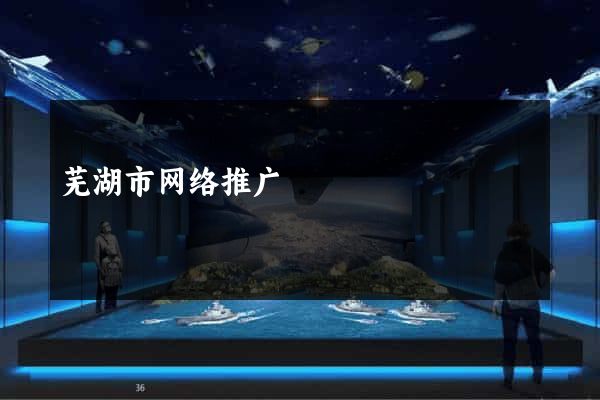 芜湖市网络推广