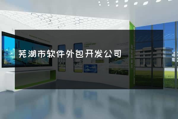 芜湖市软件外包开发公司