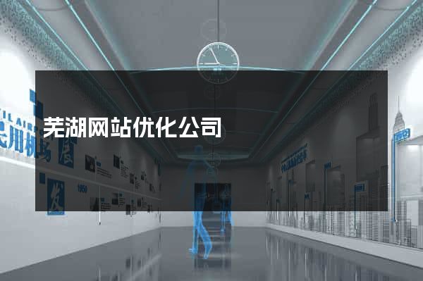 芜湖网站优化公司