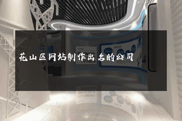 花山区网站制作出名的公司