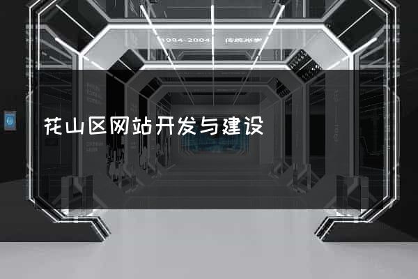 花山区网站开发与建设
