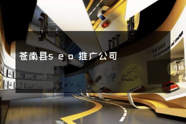 苍南县seo推广公司