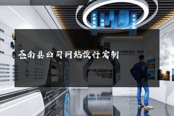 苍南县公司网站设计定制
