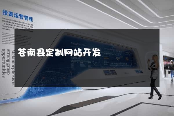 苍南县定制网站开发