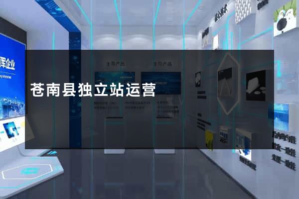 苍南县独立站运营